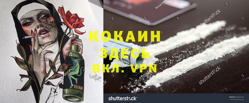 Cocaine FishScale  как найти закладки  Плёс 